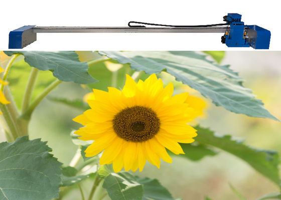 Cyfrowa wielofunkcyjna płaska drukarka 3d Uv 2880 dpi Cicha